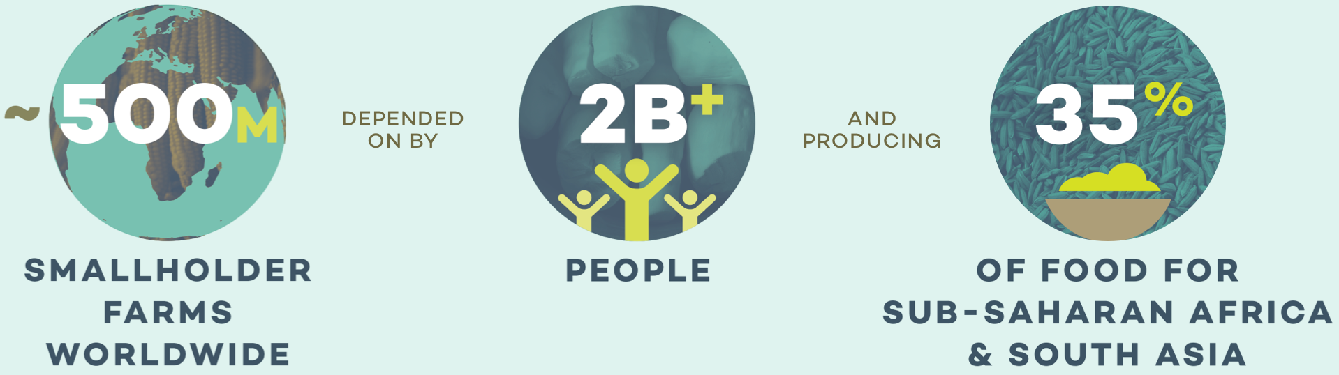 Infographic illustrating: 500 million smallholder farms worldwide; depended on by 2 billion + people; and producing 35% of food for Sub-Saharan Africa and South Asia
