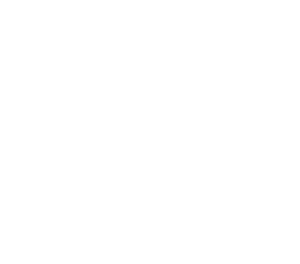 Maize plant illustration in white