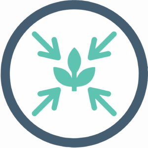 An icon with a blue outer ring encircles a teal colored simple plant illustration with 4 arrows pointing at it.