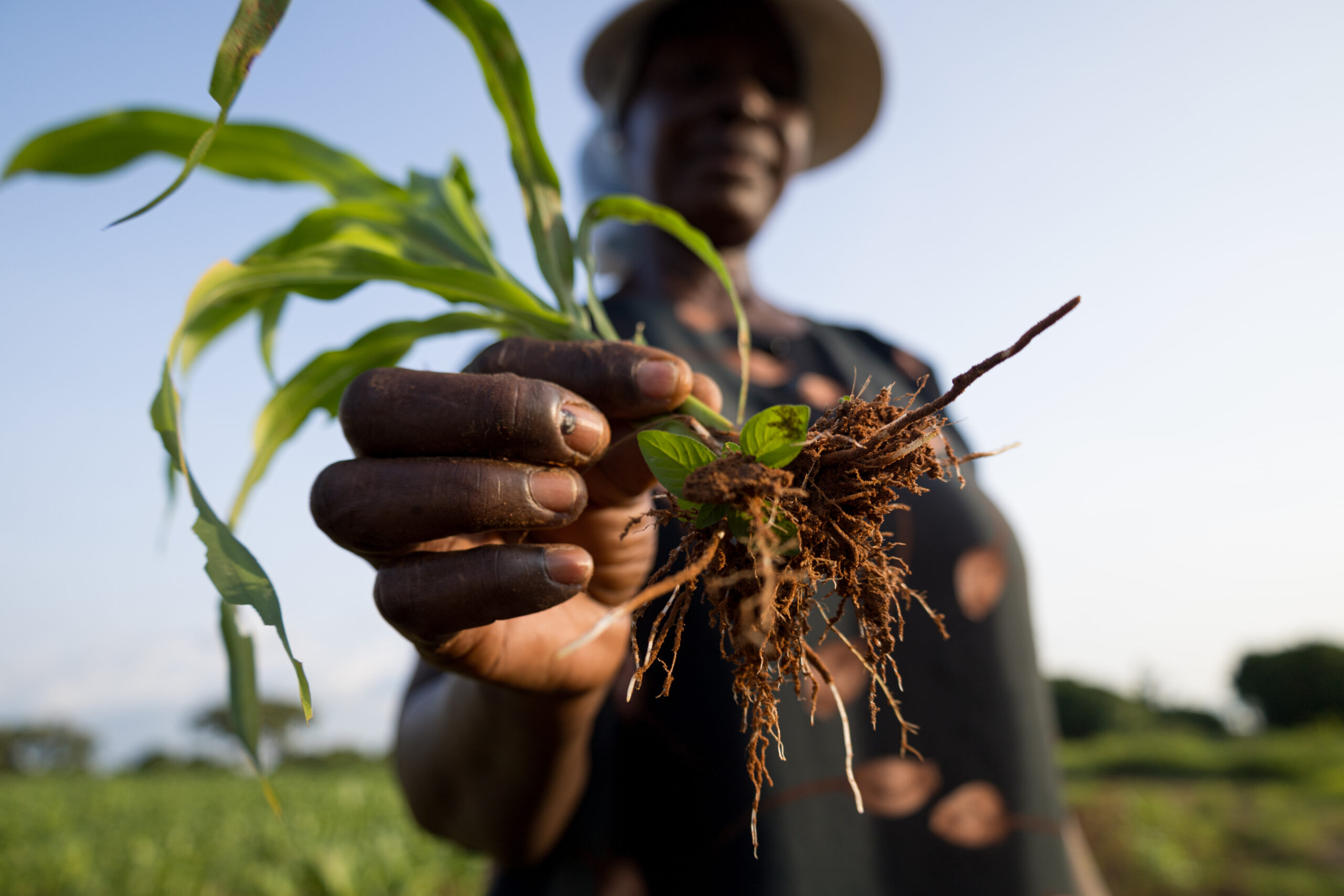 News:Gates Agricultural Innovations and Corteva Announce New Collaboration to Accelerate Agricultural Innovation, Support Global Food Security