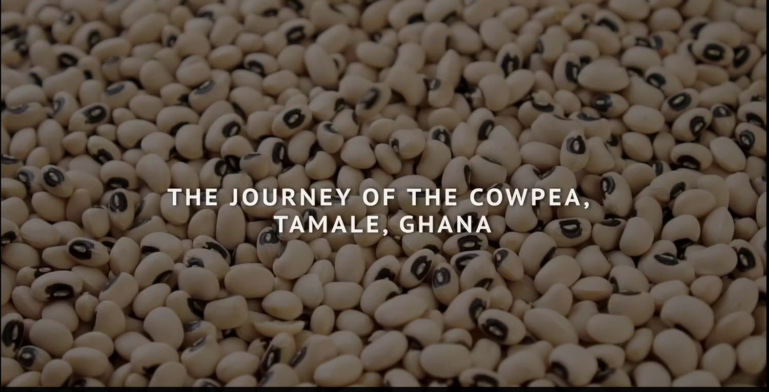 Video:Journey of a Cowpea