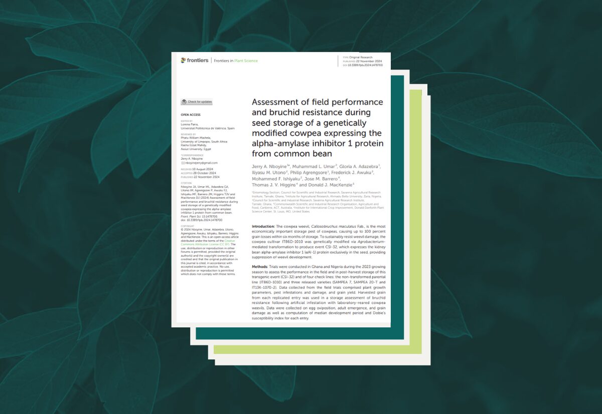 Research Paper:Bruchid-Resistant GM Cowpea-Field and Storage Assessment
